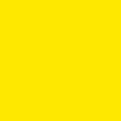 Cadmium Yellow Medium [5MM]