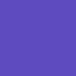 Xtra Flow Paint 100-Goldrake Purple