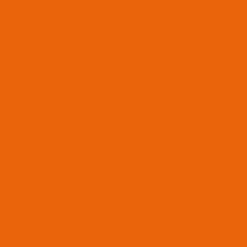 Neon Orange [628]
