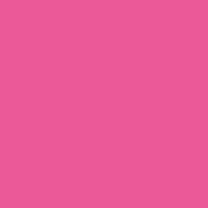 Neon Pink [327]